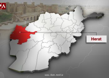 Map of Herat Province Highlighted in read inside the map of Afghanistan. ((Photo Credit: 8am.media)