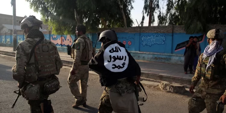 ISIS Resembles the Taliban