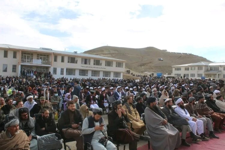 Degrees Earned, Dreams Deferred: Taliban Loyalty Becomes the Only Gateway to Employment