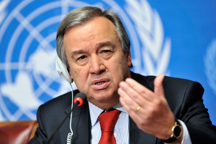 United Nations Reports the Killings of 89 Staff Members in Gaza