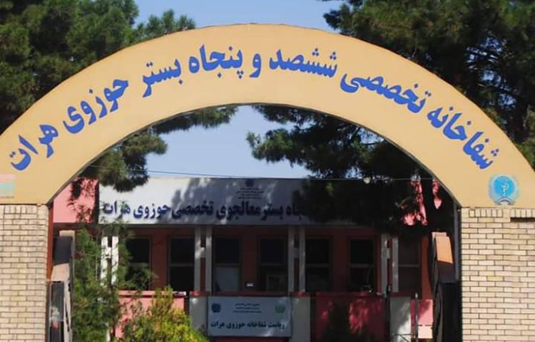 Rising Mental Health Cases in Herat Province: Daily Visits to the Regional Hospital Reach at Least 170 Individuals