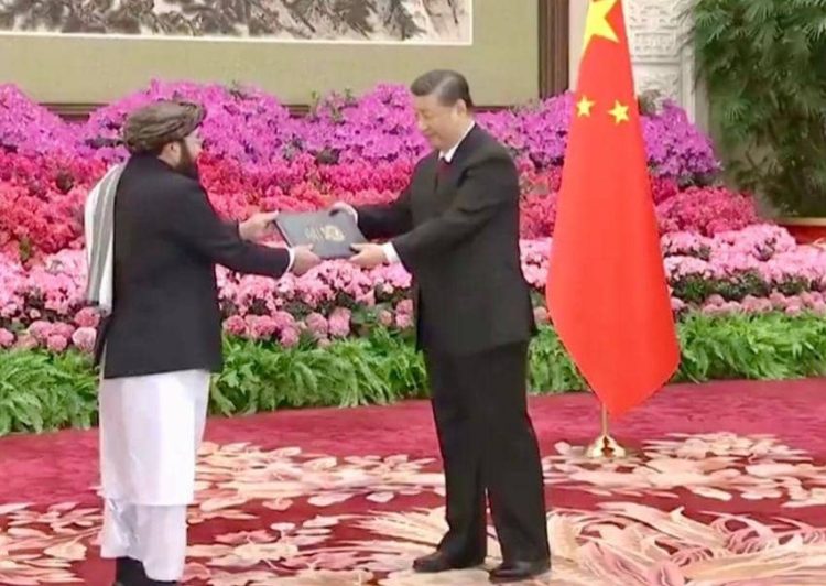 President of China Accepts Taliban Ambassador’s Credentials