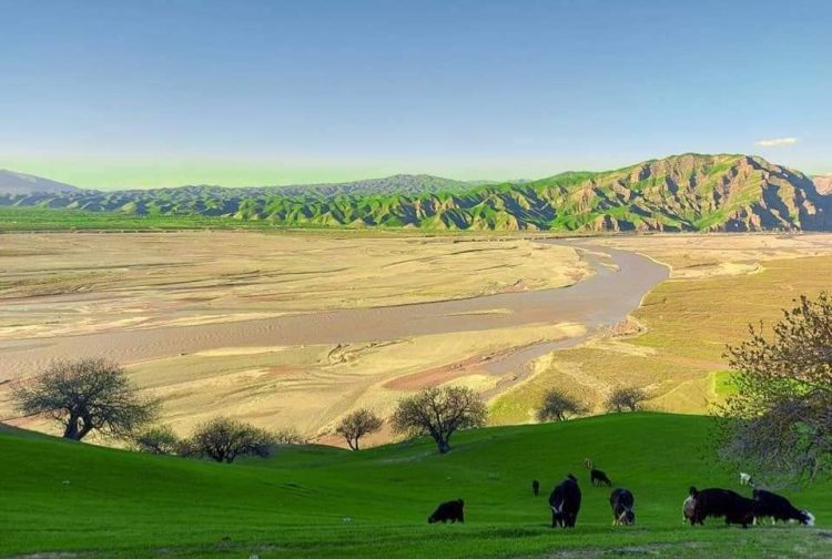 Tajik Border Guards Kill Seven Afghans Suspected of Drug Smuggling