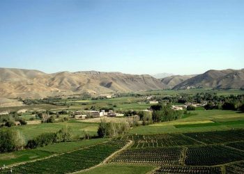 A lash green valley in Nahor district of Ghazni Province.