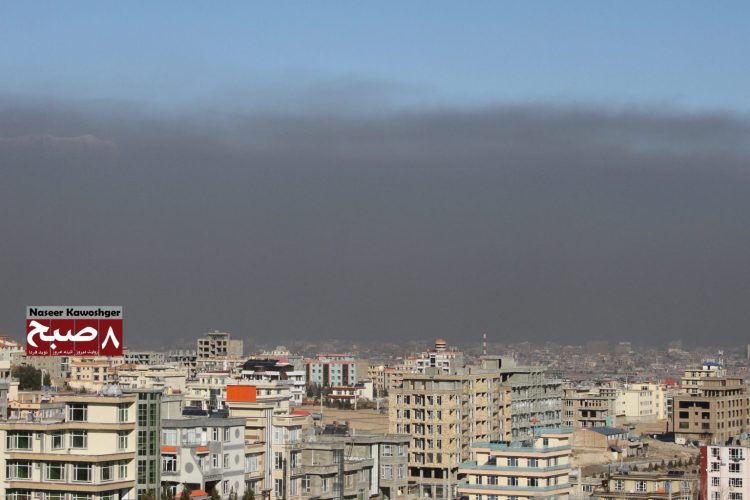 Environmental Destruction Under Taliban Rule
