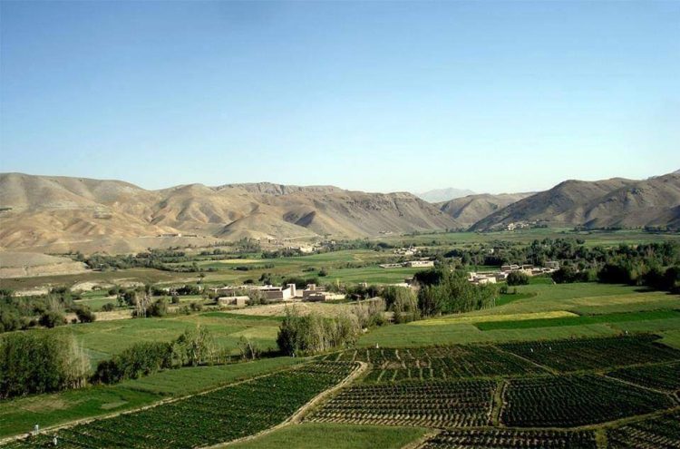 Displacement of Indigenous Lands to Kuchis: Taliban Rulings Reflect Ethnic and Linguistic Discrimination