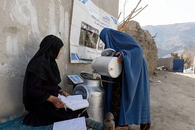 Women in a rural Afghanistan village participate in a UN Women-supported milk collection program, documenting and managing resources amidst challenging conditions. (Photo Credit: UN)