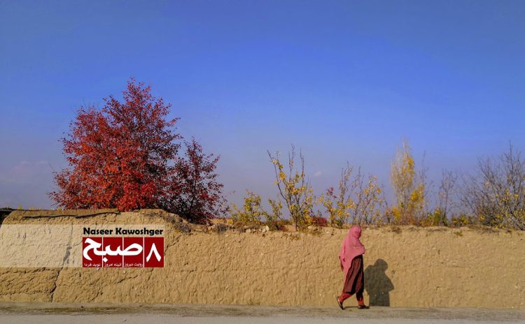 A woman walks along a rural path in Afghanistan, with autumn trees and a clear blue sky in the background. (Photo Credit: Naseer Kawoshger)