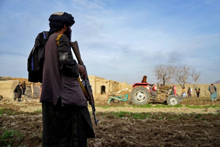 A man with a rifle stands guard in a rural field as a tractor works the land in the background, with other individuals visible near mud-brick structures. (Photo Credit: AFP)