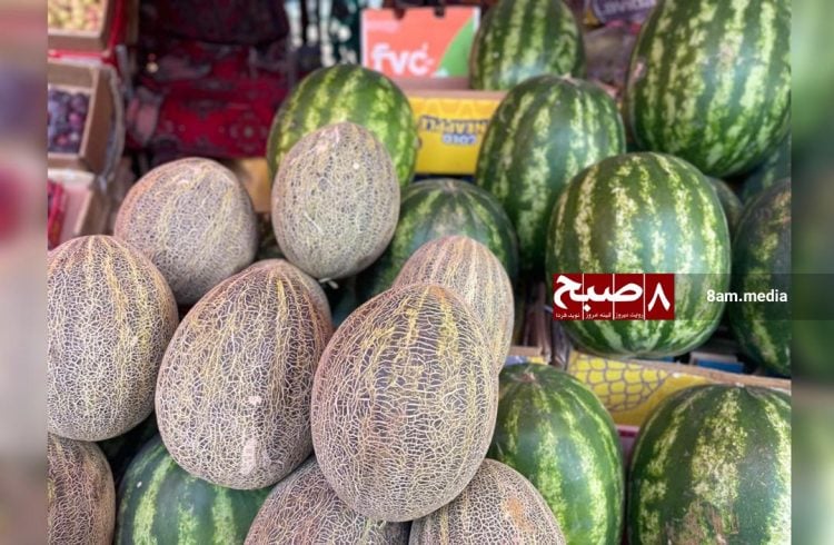 A market stall in Afghanistan displays an abundance of watermelons and melons, highlighting the surplus produce amid struggling sales. (Photo Credit: 8am.media)
