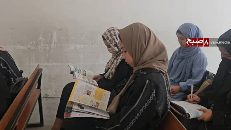Female students engaged in reading and studying in a classroom. (Photo Credit: 8am.media)