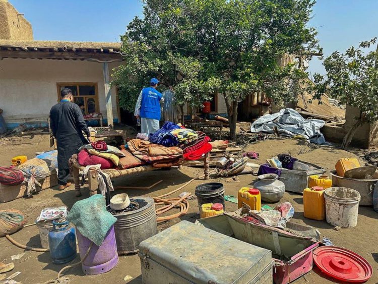 Relief workers assess earthquake damage and displaced belongings in eastern Afghanistan, where over one million livestock are at risk following devastating tremors that threaten farming communities' livelihoods. (Photo Credit: UN)