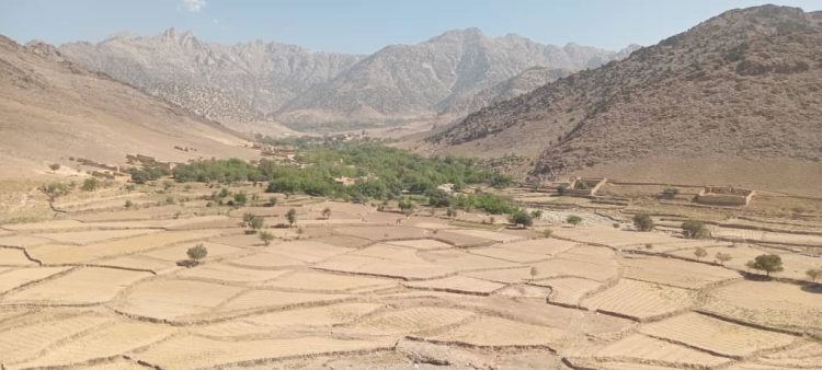 Aerial view of agricultural fields and valley settlements in Afghanistan's mountainous terrain, showing the type of farmland at the center of disputed ownership claims in Kapisa province. (Photo Credit: Exclusive)
