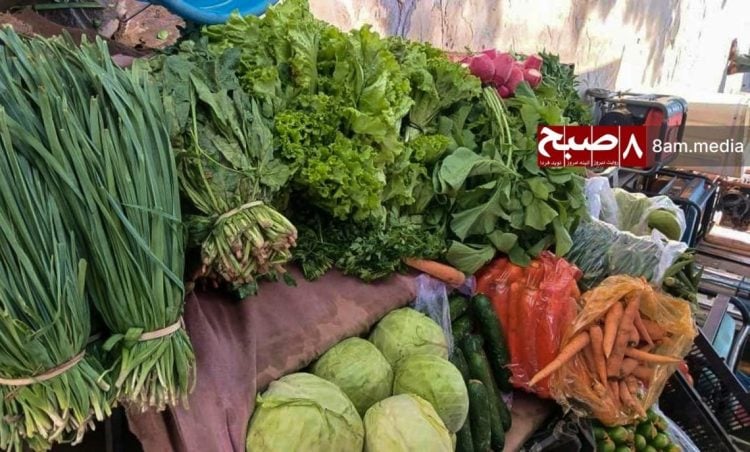 Fresh vegetables including green onions, leafy greens, cabbage, and carrots are displayed at a Kabul market amid soaring prices that have put basic produce out of reach for many Afghan families struggling with poverty and unemployment. (Photo Credit: 8am.media)