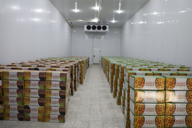 A modern cold storage facility in Afghanistan stores boxes of dried fruits and fresh produce, demonstrating the type of infrastructure that traders say is critically needed to preserve agricultural products and prevent millions of dollars in losses. (Photo Credit: mail.gov.af)