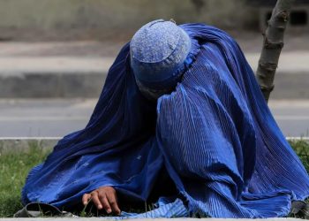 A woman wearing a traditional blue burqa sits on the grass in what appears to be an urban setting. (Photo Credit: Social Media)