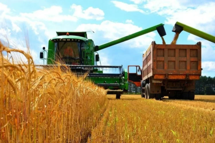 A combine harvester transfers wheat to a truck during harvest season in Kazakhstan, which has increased its wheat exports to Afghanistan by 37 percent over the past four months. (Photo Credit: Kazakhstan Government Website)
