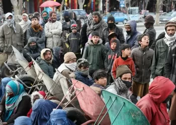 Jobless young men and children gather in a city street, reflecting deepening poverty and unemployment across the country. Photo Credit: Ali Khara/Reuters