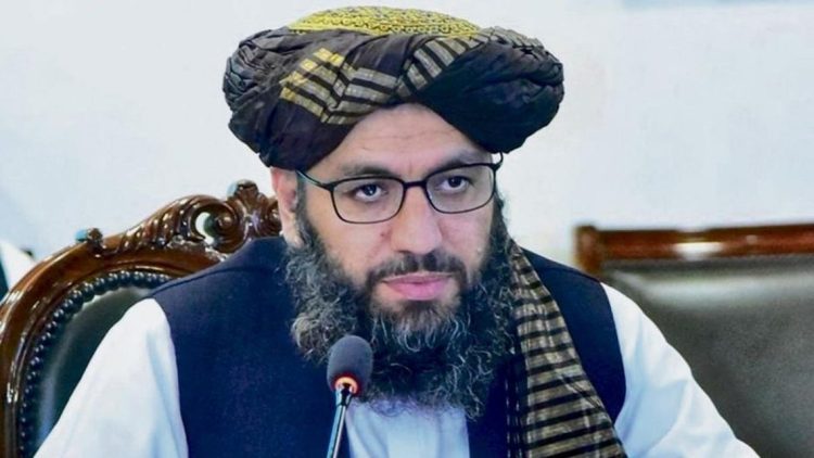 Mufti Noor Ahmad Noor, a senior Taliban official at Afghanistan's Ministry of Foreign Affairs, has been appointed as acting head of Afghanistan's embassy in New Delhi following an agreement between the Taliban and India. (Photo Credit: Special Arrangement)