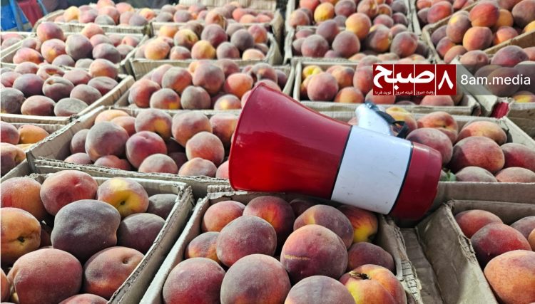 A megaphone rests among peaches at a Kabul market, symbolizing the constant noise from street vendors that disrupts residents' daily lives across Afghanistan's capital. (Photo Credit: 8am.media)