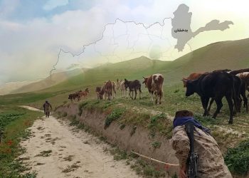 A shepherd leads livestock along a dirt path in the hills of Badakhshan as armed personnel oversee the area near Ishkashim. (Photo credit: Exclusive)