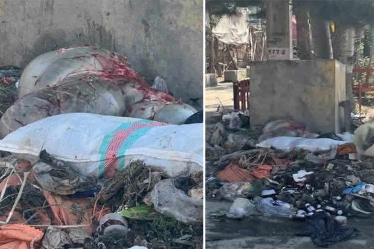 Bloodied animal hides and mixed waste dumped along a residential street in Kabul days after Eid al-Adha, as the Taliban's municipal authority faces criticism for failing to clean up sacrificial animal remains. (Photo credit: Social media)