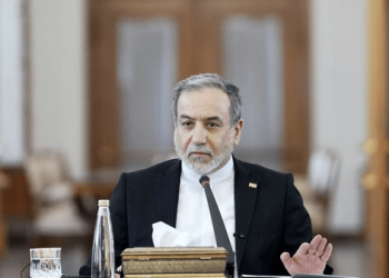 Iranian Foreign Minister Seyed Abbas Araghchi speaks during a public appearance (Photo: Farsnews)