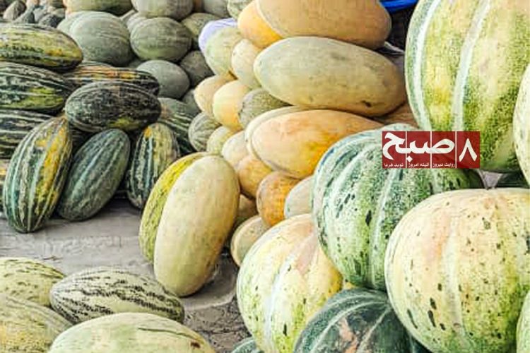 Piles of freshly harvested melons sit stacked in a market in Samangan province as farmers struggle with falling prices and weak demand. (Photo credit: 8am.media)