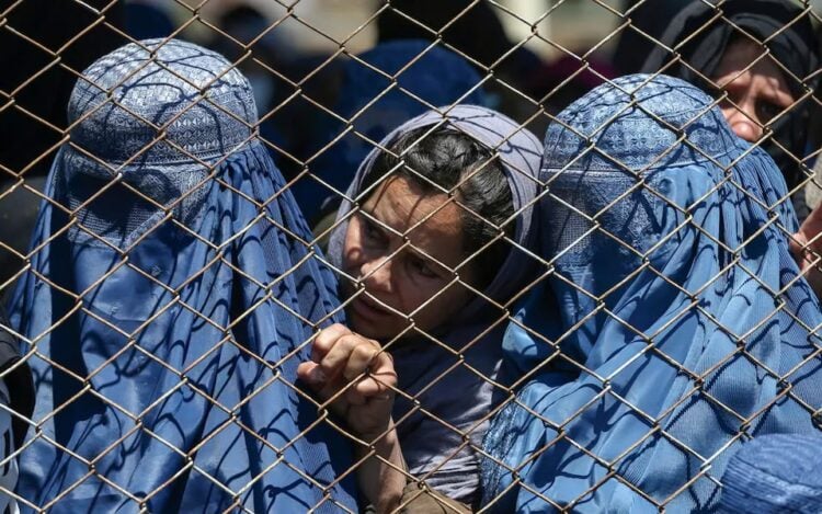 Afghan women and a child stand behind a wire fence, reflecting the barriers, restrictions, and hardships faced by women and girls in Afghanistan (Photo: Getty Images)