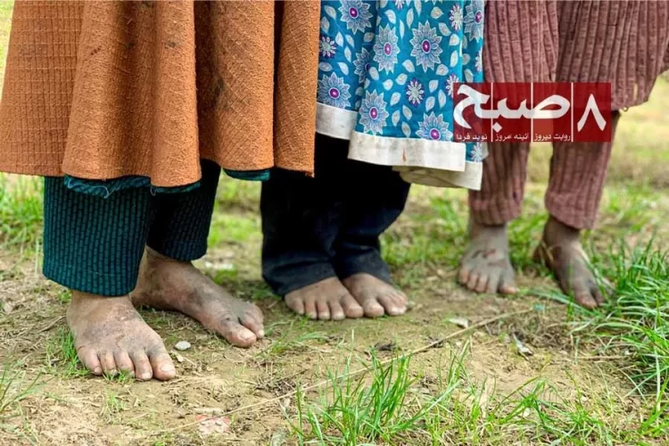 Barefoot children stand on a grassy roadside in Herat, among the growing number of working children exposed to hardship on the streets. (Photo credit: 8am.media)