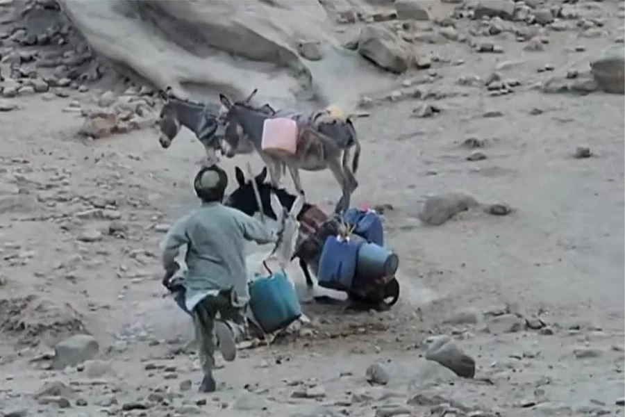 A man leads donkeys loaded with water containers across a dry riverbed in a drought-affected Afghan village. (Photo credit: Our Village)