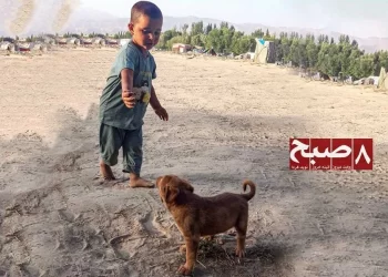 A young Jogi boy plays with a puppy near a tent settlement outside Faizabad in Badakhshan province. (Photo credit: 8am.media)