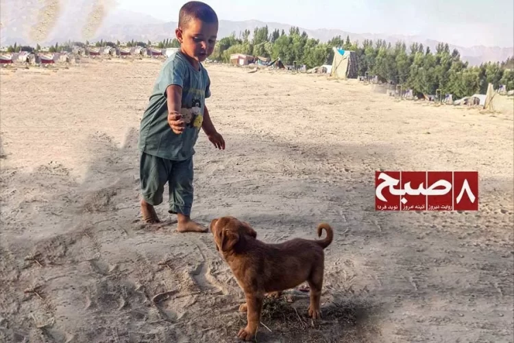 A young Jogi boy plays with a puppy near a tent settlement outside Faizabad in Badakhshan province. (Photo credit: 8am.media)
