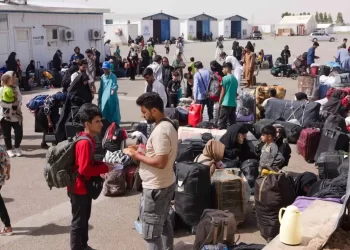 Several Afghans have returned to Afghanistan from neighboring countries. (Photo: IOM)