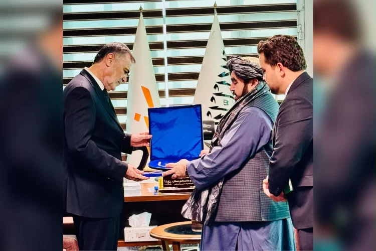 Breshna: 500-Kilovolt Electricity Transmission Project from Turkmenistan Progressing