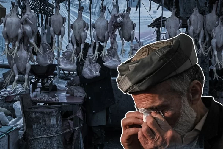 A vendor wipes his face at a Kabul poultry shop as chicken prices remain high despite Taliban claims of self-sufficiency. (Photo credit: AFP)