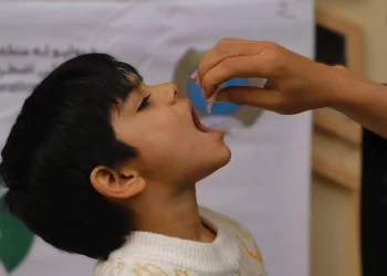 A child receives a drop of polio vaccine during a vaccination campaign in Afghanistan. (Photo credit: UNICEF)