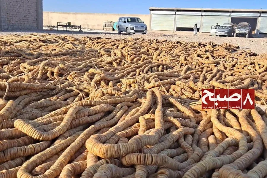 Dried figs spread out for sale as farmers and traders face falling prices following the closure of Afghanistan-Pakistan trade routes. (Photo credit: 8am.media)