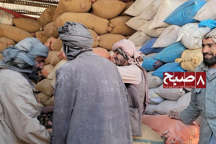 Traders inspect sacks of dried fruit in a market in Afghanistan amid falling agricultural prices. (Photo credit: 8am.media)