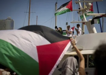 People wave Palestinian flags during a gathering in support of Palestine (Photo: AP)
