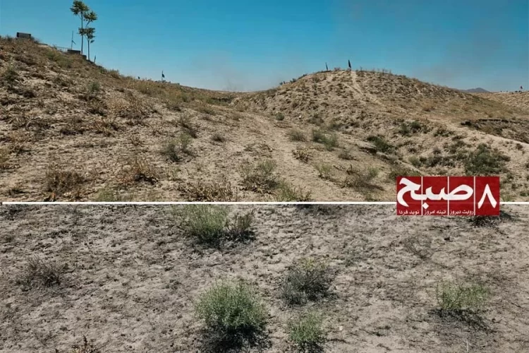 Sparse shrubs dot the dry, eroded hills of Ghazni province, where residents say uprooting for firewood has stripped the landscape of vegetation. (Photo credit: 8am.media)