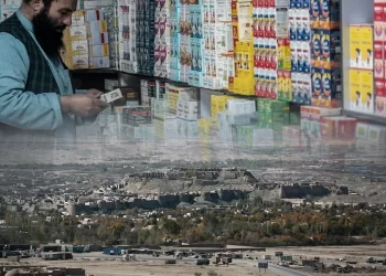 A shopkeeper examines medicine on the shelves of a pharmacy in Ghazni city, where residents say shortages of drugs and health staff persist. (Photo credit: AFP + Wikipedia)