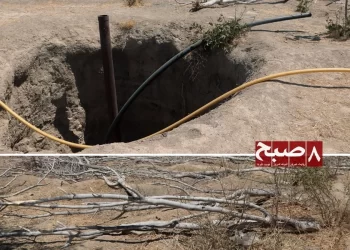 A freshly dug well and withered, uprooted fig branches reflect the deepening water crisis facing orchards in Kandahar province. (Photo credit: 8am.media)