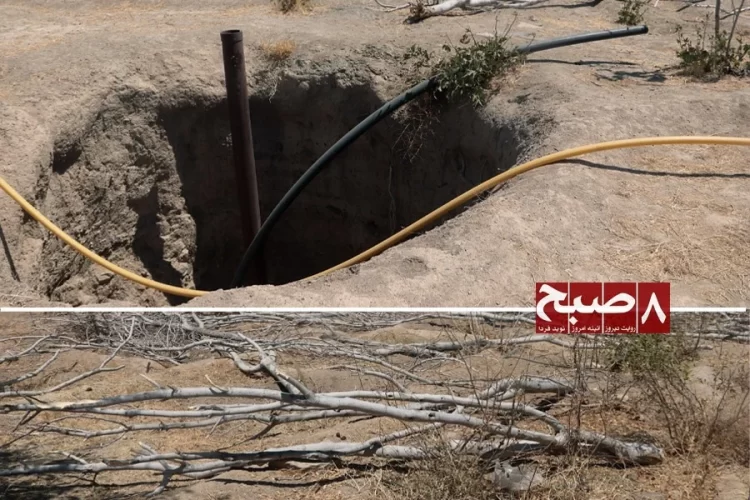 A freshly dug well and withered, uprooted fig branches reflect the deepening water crisis facing orchards in Kandahar province. (Photo credit: 8am.media)