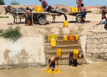 Children collect water in jerry cans from a muddy canal, while donkey carts transport additional containers nearby (Photo: @UNHabitatAf)
