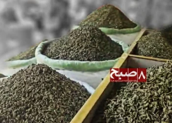 Loose tea leaves are piled in sacks and wooden bins at a market in Kabul amid residents’ concerns over the quality of imported tea. (Photo credit: 8am.media)