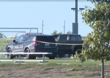 Two police cars parked at the incident area (Photo: Newyork Post)