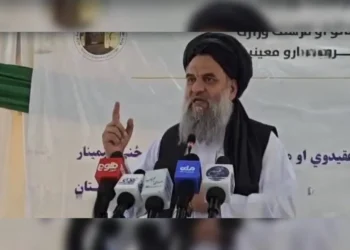 Taliban Minister Sher Ahmad Haqqani speaks behind microphones during a ceremony. (Photo credit: @bnadari1)