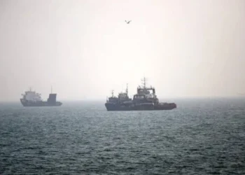 Ships sailing through strait of Hormuz (Photo: AA)