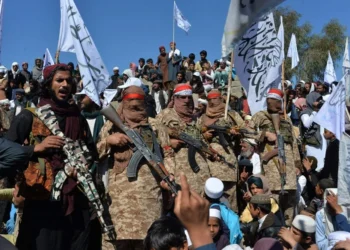 Taliban fighters and supporters gather at a public gathering, carrying weapons and displaying Taliban flags (Photo: AFP)